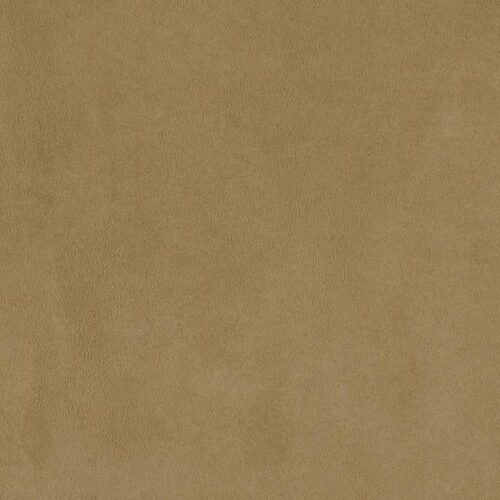 Switch_12-A-Almond
