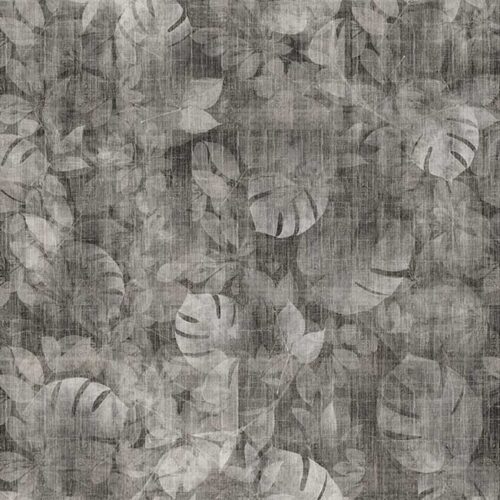 نمونه طرح transitiontropic