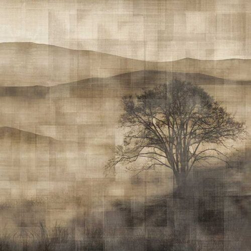 نمونه طرح Mist