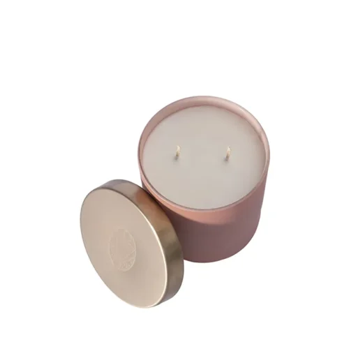 لوندر مدیترانه‌ای (Provence Lavender) - ۳۰۰ گرمی