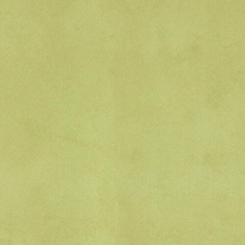 Switch_09-A-Moss