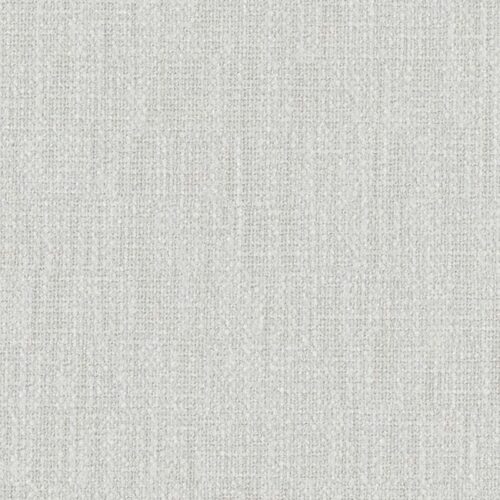 Bouclette_19-Mouse