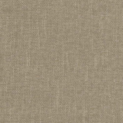 Perfecto_20-Fossil