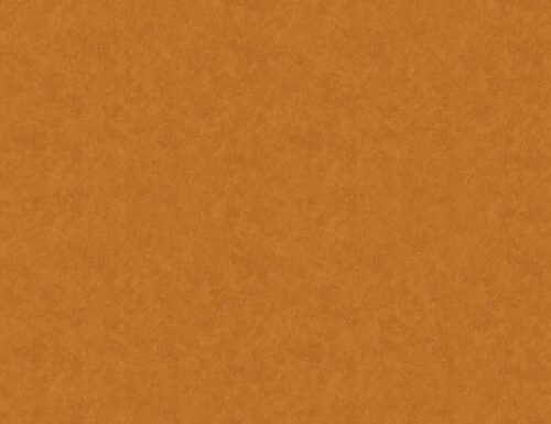 نمونه طرح Stardust