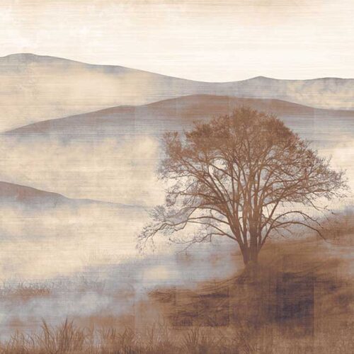 نمونه طرح mist