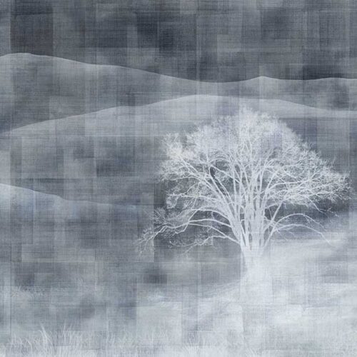 نمونه طرح mist