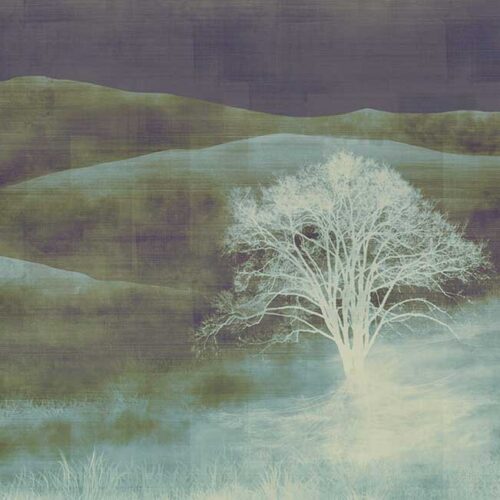 نمونه طرح mist